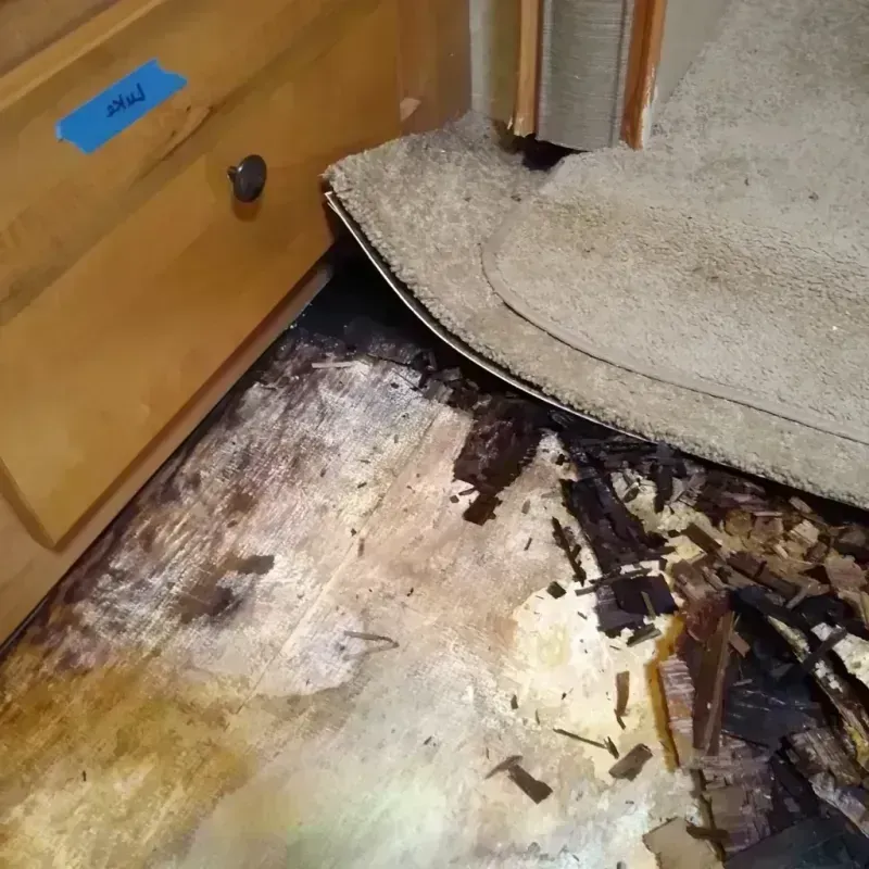 Wood Floor Water Damage in Cape Coral, FL